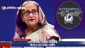 শেখ হাসিনার গ্রেপ্তারি পরোয়ানা হিসেবে রেড কর্নার নোটিশ